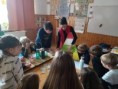 /album/kepgaleria-egeszsegtudatos-fejleszto-foglalkozas/v3-jpg/
