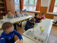 /album/kepgaleria-iskolaban-az-erdo-program/495236555-1242854794515759-5067081750618357892-n-jpg/