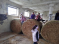 /album/kepgaleria-allatszeretet-napja/498328221-1251508556983716-4519576099243365384-n-jpg/