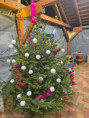 /album/kepgaleria-karacsonyi-vasar/600226549-1454590390008864-1385097532462356186-n-jpg/