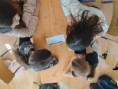 /album/kepgaleria-penz-program/647751116-1530399405761295-872734831417132132-n-jpg/