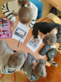 /album/kepgaleria-penz-program/648220602-1530399312427971-1544119245968215475-n-jpg/